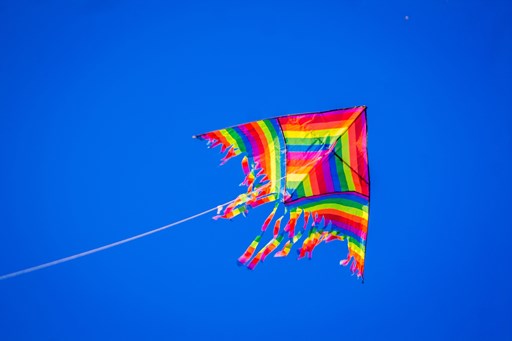 Kites and the Science of Flight