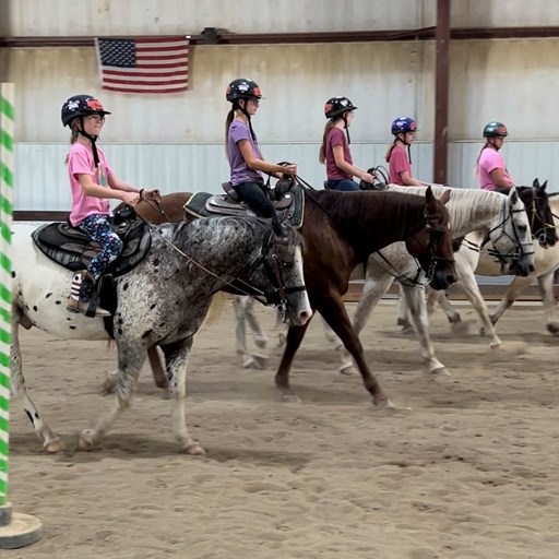 Horse Adventures Camp (ages 8-12)