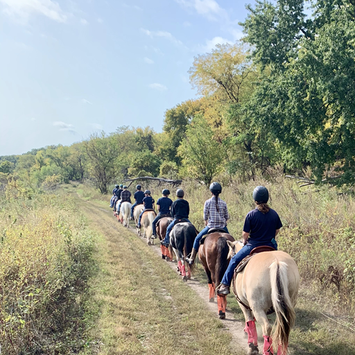 Guided Trail Rides