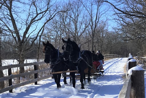 Holiday Horse-Drawn Rides (10am, 10:45am, 11:30am, 1:30pm, 2:15pm, 3pm)