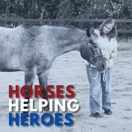 Horses Helping Heroes Co-Ed