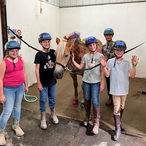 Jr Horse Adventures Camp (ages 5-7)