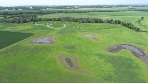 Crane Meadows in summer 2022 after native prairie seeds were planted.
