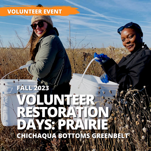 Volunteer Restoration Days: Prairie